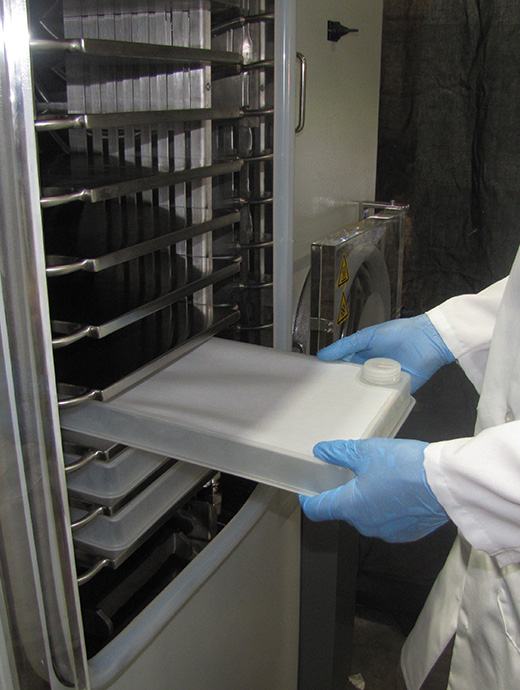 magnum freeze dryer magnum freeze dryer